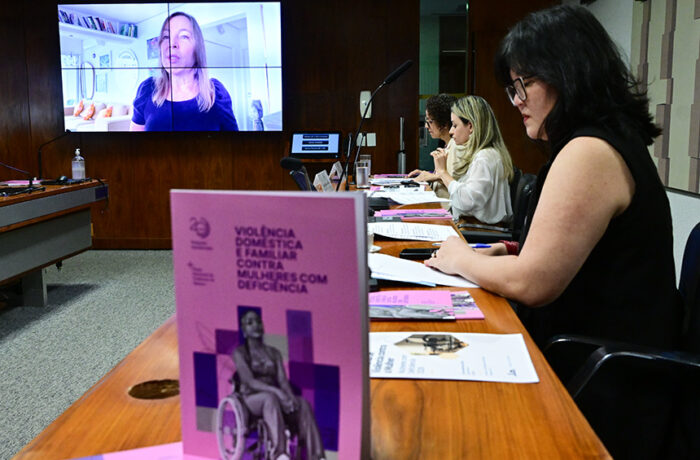 Representantes participam de audiência da Comissão de Direitos Humanos do Senado.