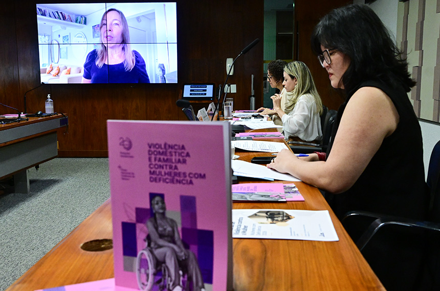 Representantes participam de audiência da Comissão de Direitos Humanos do Senado.